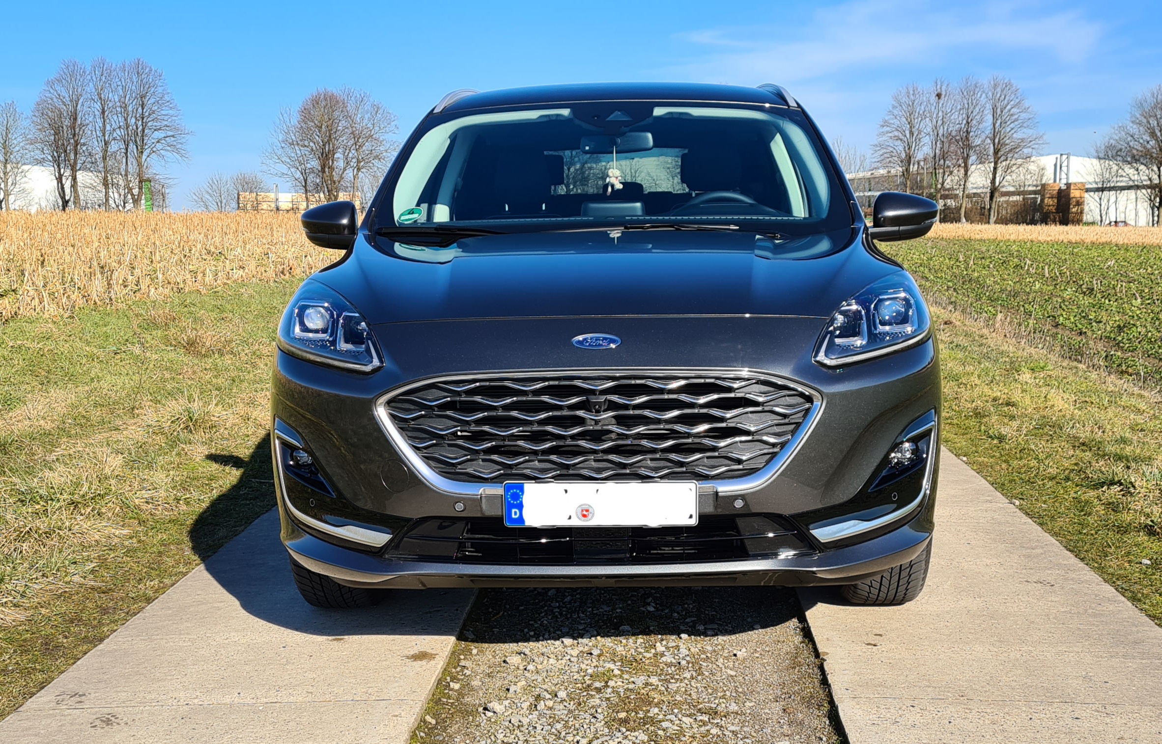 Mein Vignale