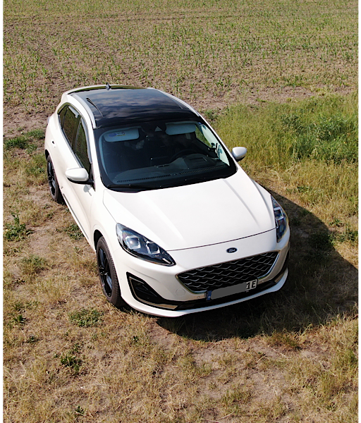 Mein Kuga aus unterschiedlichen Perspektiven