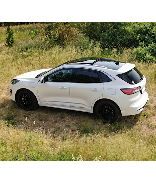 Mein Kuga aus unterschiedlichen Perspektiven